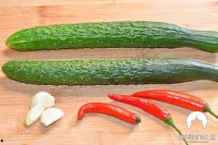 吃酸瓜声控,唤醒味蕾的奇妙之旅