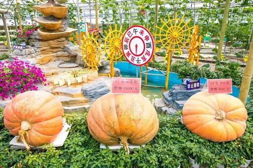 公主府吃大瓜,公主府里的惊天大瓜