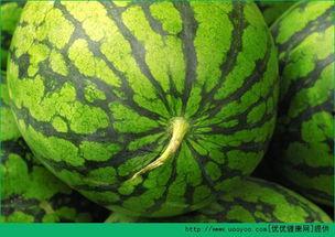 发烧后可以吃瓜么,发烧后能否吃瓜？健康饮食指南