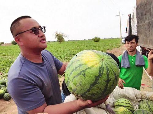 卓越吃瓜后续,揭秘娱乐圈背后的秘密与真相