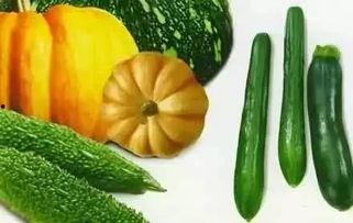 晚风吃瓜,探寻夏日消暑美食之旅