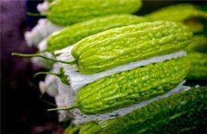 小风瓜孕妇可以吃吗,安全与适宜性分析