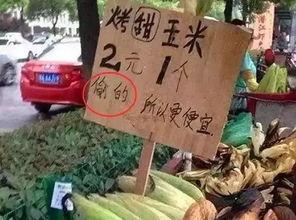 吃瓜不吃蒜,品味生活新风尚