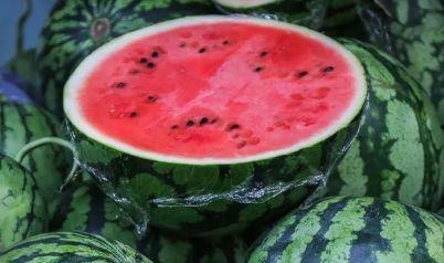 琴儿吃瓜后续,真相大白，网友热议不断