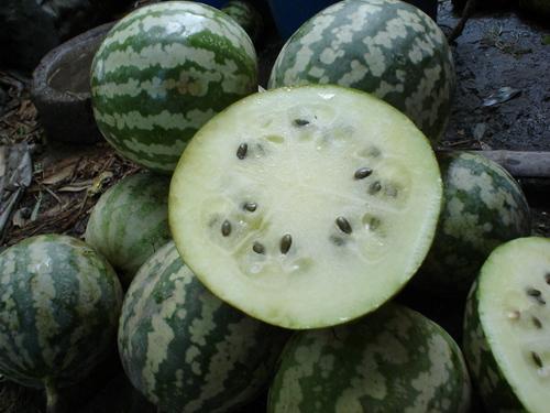 吃瓜怎来的,揭秘网络热词的诞生与流行