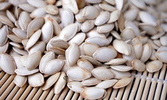 吃瓜子的瓜种子,揭秘吃瓜子的瓜种子奥秘