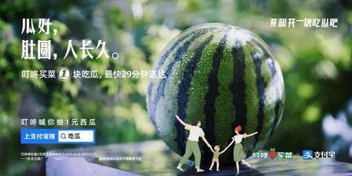 田间吃瓜文案,夏日味蕾之旅